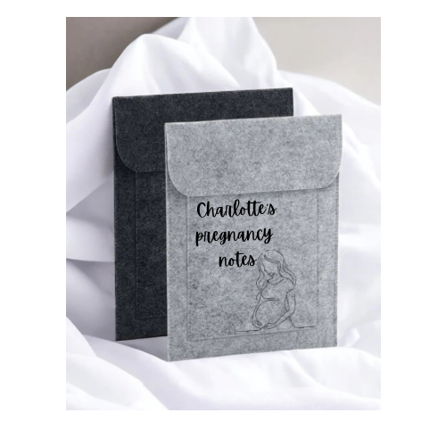 Felt document folder